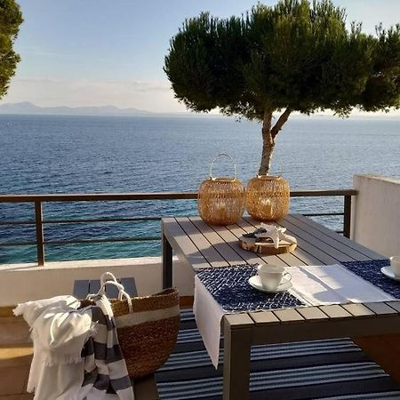 Blau Cel Daire Alcudia  Dış mekan fotoğraf
