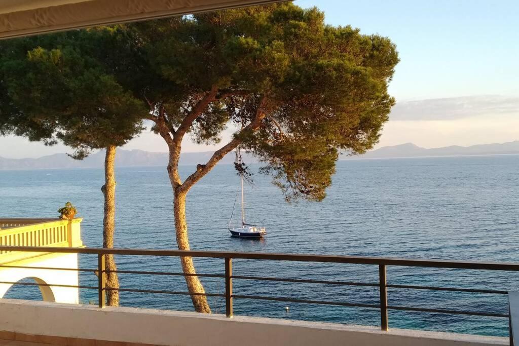 Blau Cel Daire Alcudia  Dış mekan fotoğraf