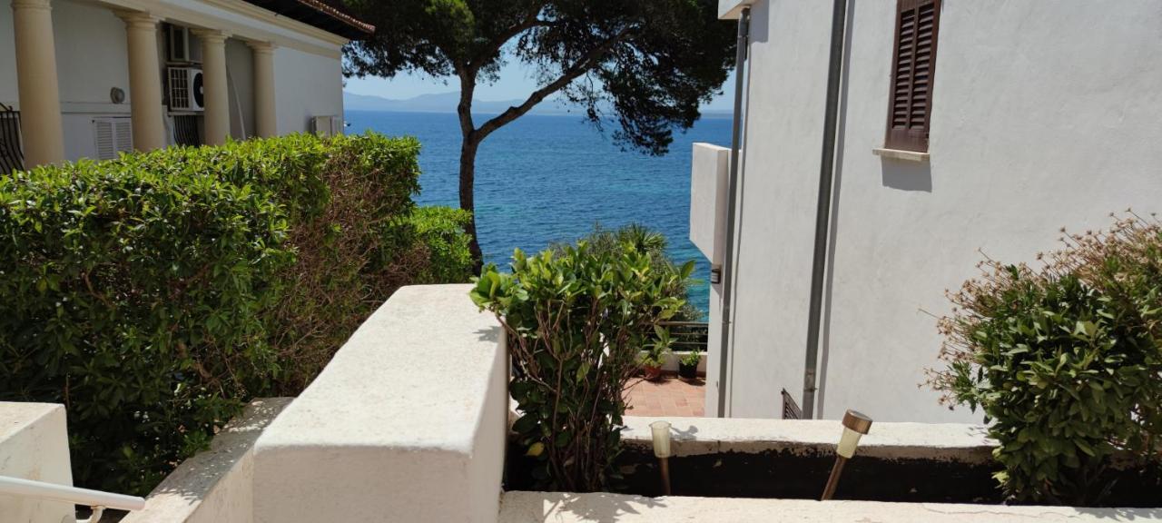 Blau Cel Daire Alcudia  Dış mekan fotoğraf